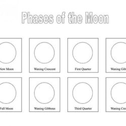 Identifying phases of the moon worksheet