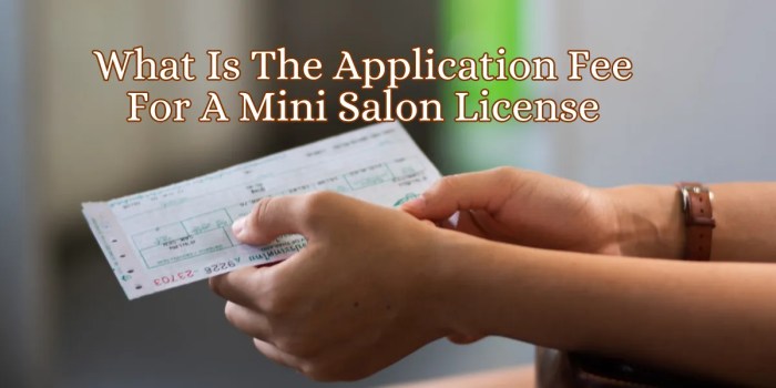 Who needs a mini salon license in texas