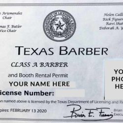 Who needs a mini salon license in texas