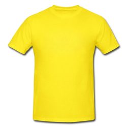 This shirt is yellow in spanish duolingo