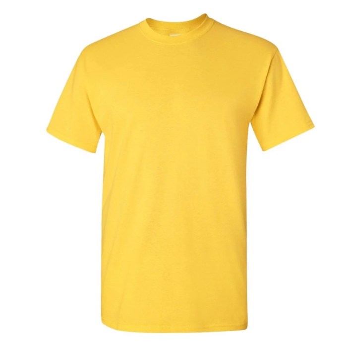 This shirt is yellow in spanish duolingo