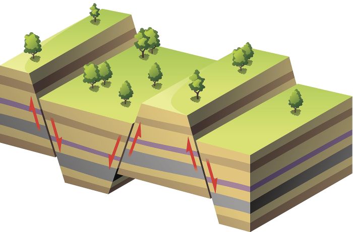 Tectonics plate