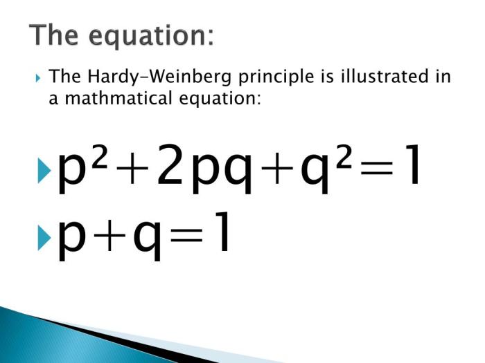 The hardy weinberg equation pogil answers