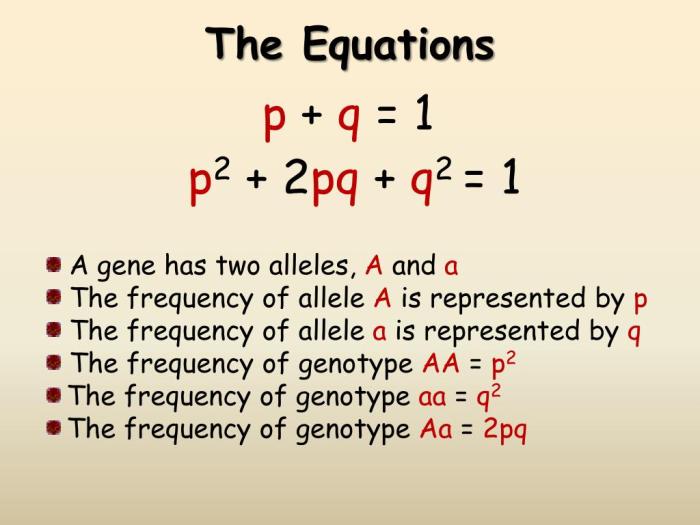 The hardy weinberg equation pogil answers