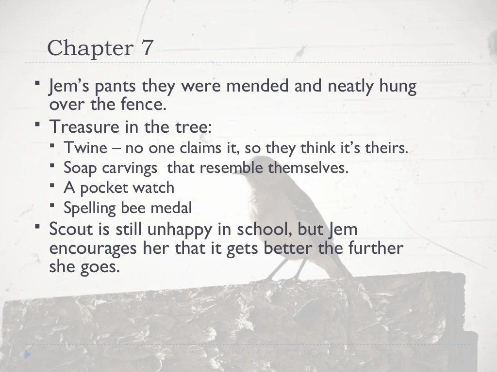 To kill a mockingbird chapters 1-5