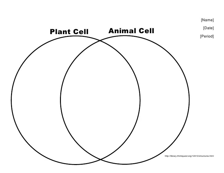 Diagram plant animal venn cells vs biology science