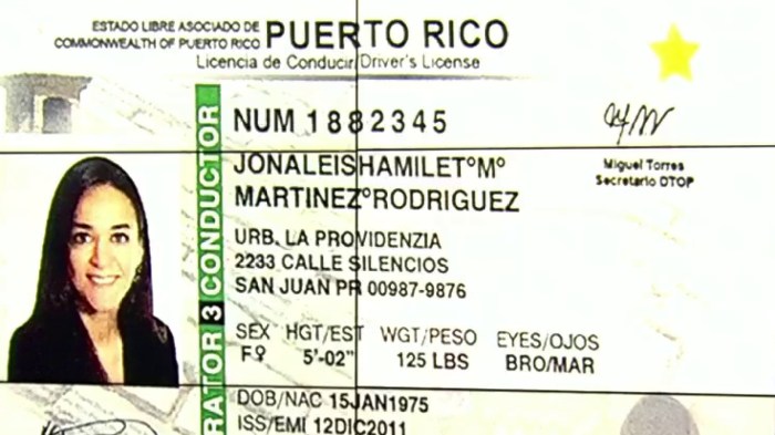 Licencia de conducir categorÃ­a 4 puerto rico