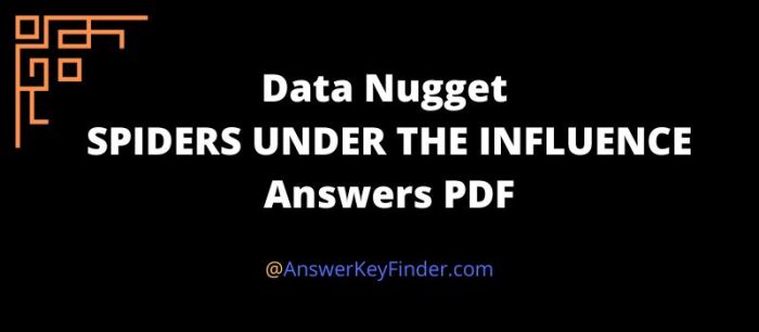 Data nugget spiders under the influence answer key