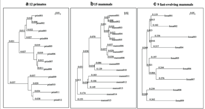 Creating phylogenetic trees from dna sequences worksheet answers