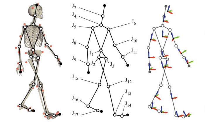 Biomechanical basis of human movement 5th edition