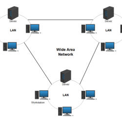 A network team is comparing physical wan topologies