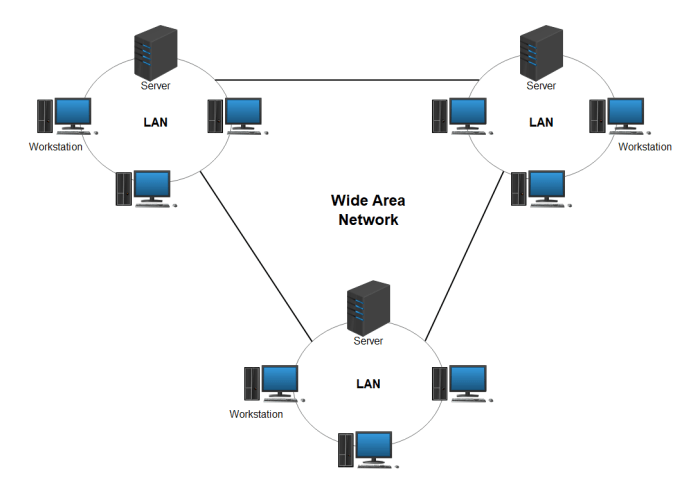 A network team is comparing physical wan topologies