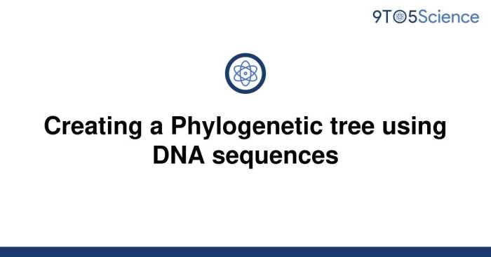 Creating phylogenetic trees from dna sequences worksheet answers